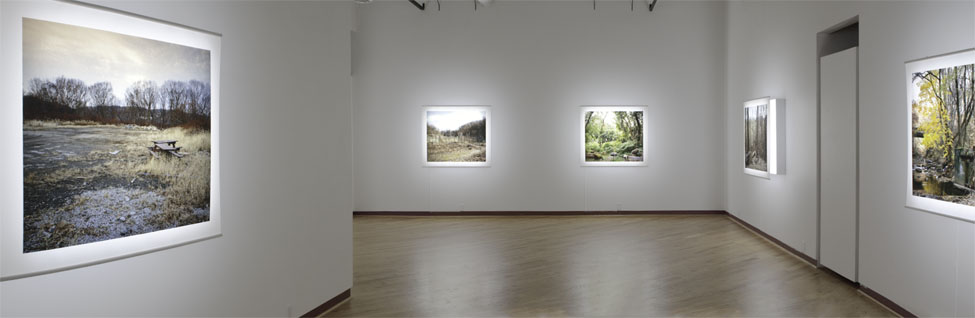 Homes & Gardens: exhibition view