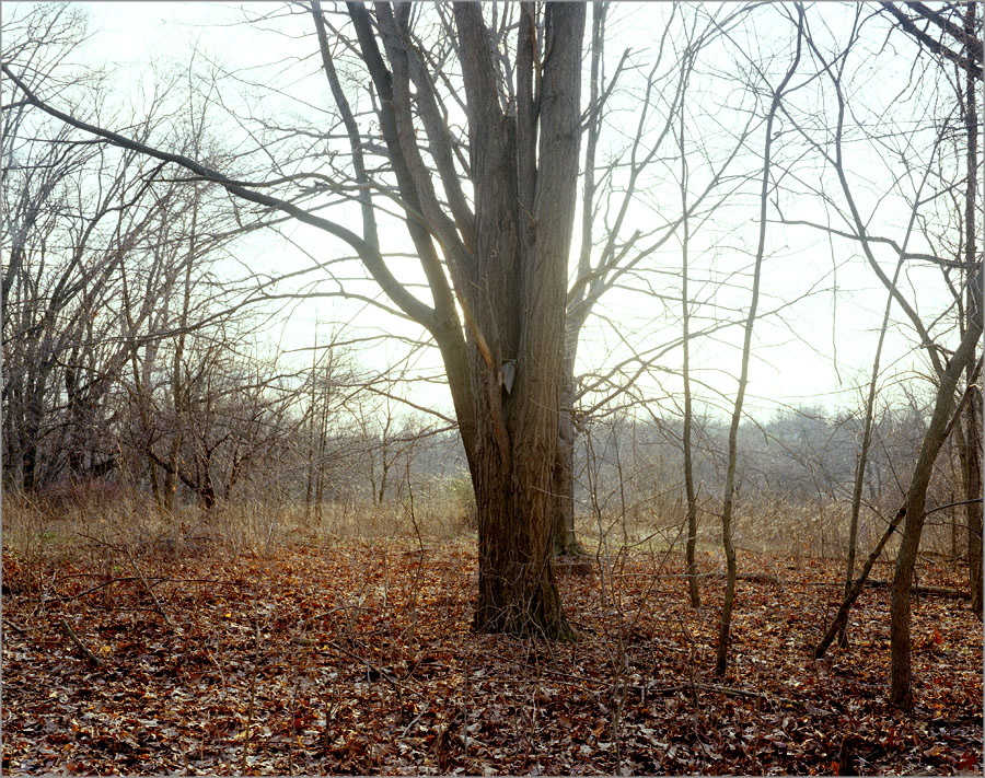 Image 11